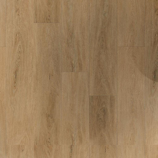 Golden Oak