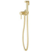 Brushed Brass