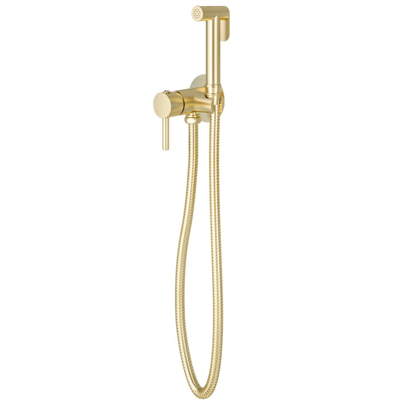Brushed Brass