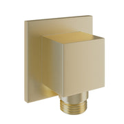 Brushed Brass