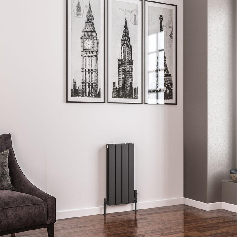 Addington 600 x 292 Radiator Type20