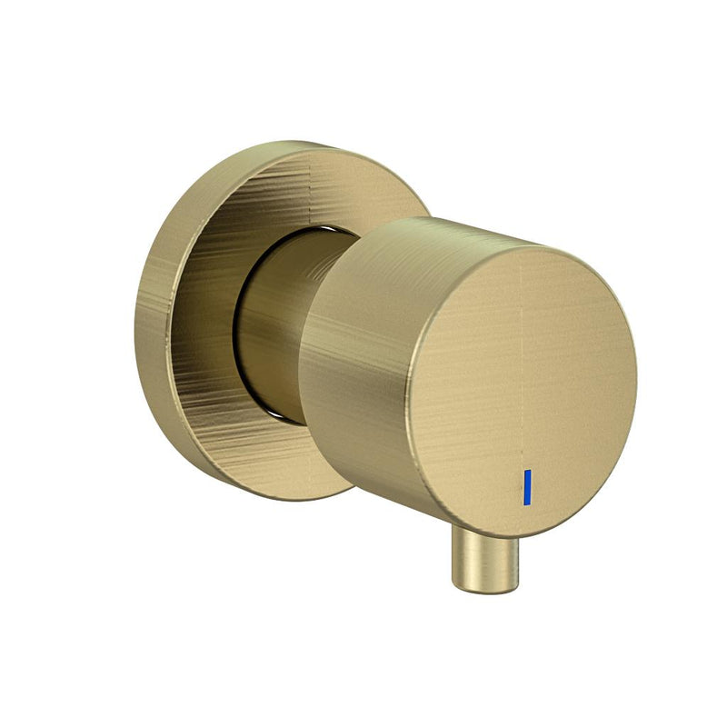 Brushed Brass