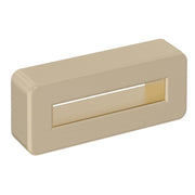 Brushed Brass