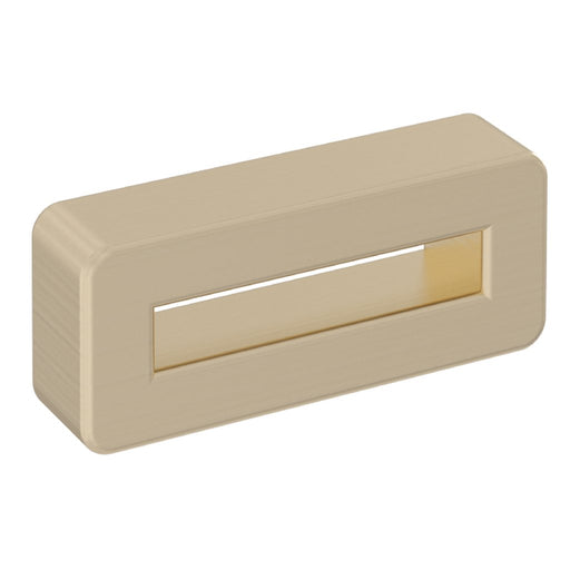 Brushed Brass
