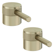 Brushed Brass